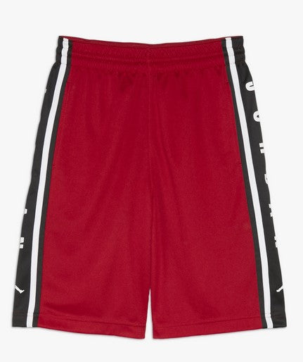 Air Jordan Hbr BBall Shorts
