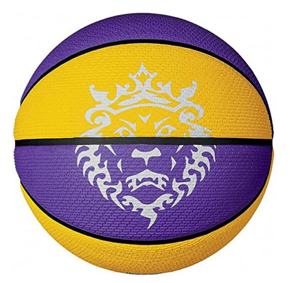 Lebron Pallone Basket