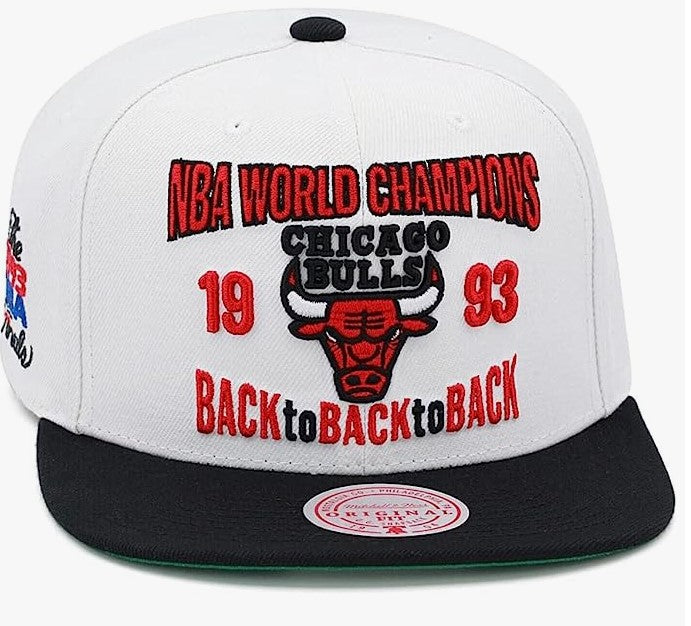 BACK TO 93 SNAPBACK HWC Cappellino Campioni NBA 1993